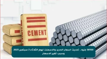 38100 جنيه.. تحديث أسعار الحديد والأسمنت ليوم الثلاثاء 2 سبتمبر 2025 وسبب تغير الأسعار